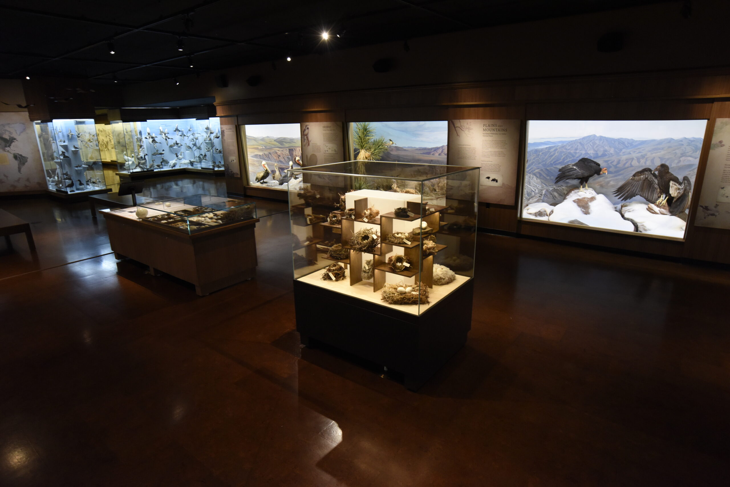 Bird Hall, Santa Barbara Museum of Natural History